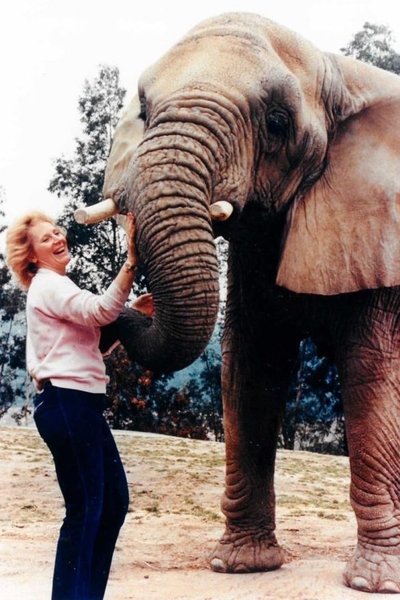 Poster do Filme I Talk to Animals