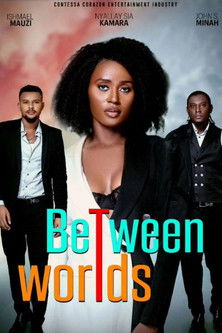 Poster do Filme Between Worlds