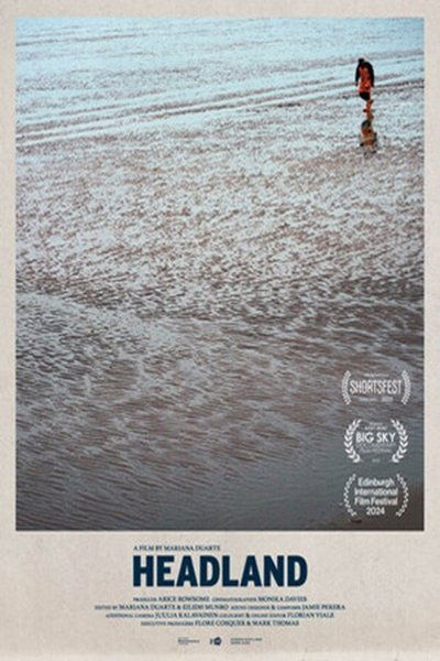 movie poster for Headland