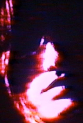 Poster do Filme The Swan