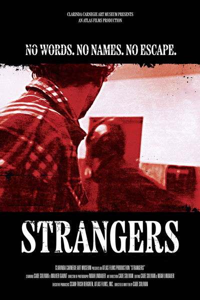 Poster do Filme Strangers