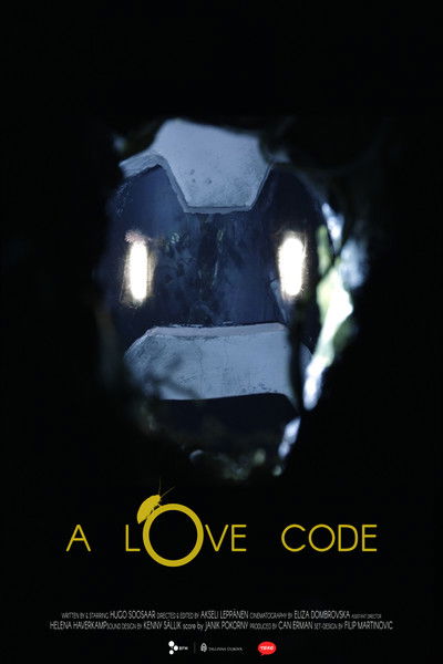 Poster do Filme A Love Code