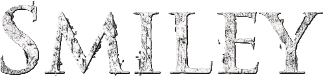 Smiley Logo