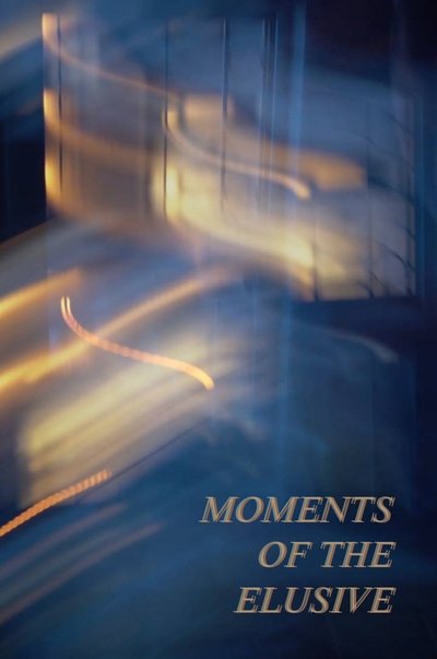 Poster do Filme Moments of the Elusive
