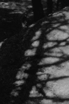 Poster do Filme On Mont Lozère