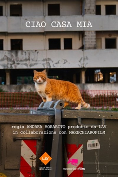 Poster do Filme Ciao casa mia
