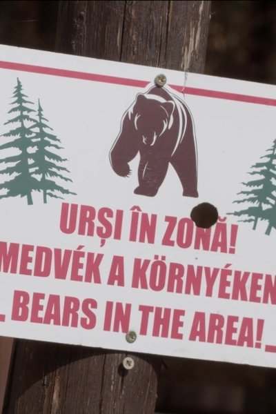 movie poster for Szomszédok