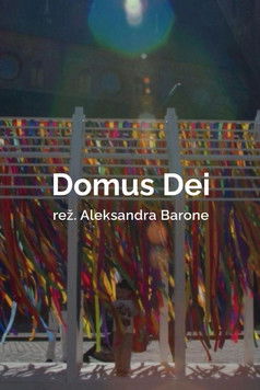 Poster do Filme Domus Dei