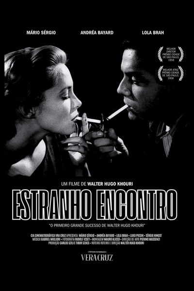 Poster do Filme Estranho Encontro