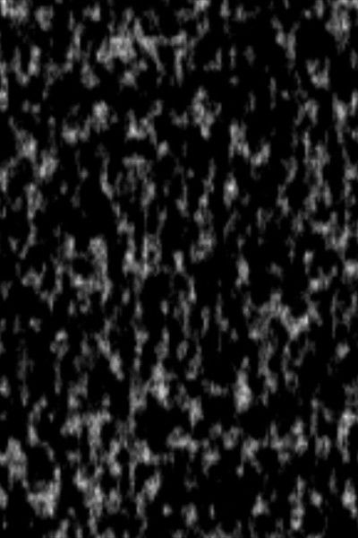 Poster do Filme Cámara