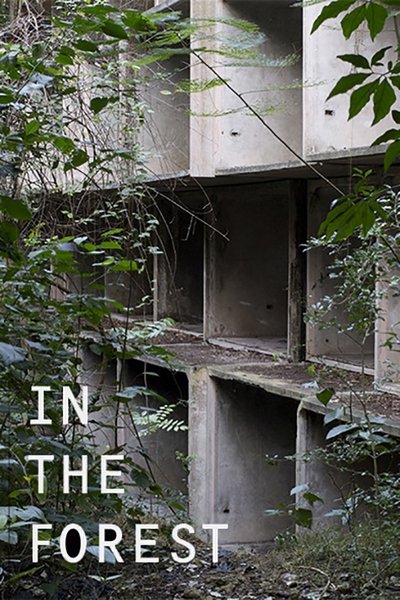 Poster do Filme in the forest