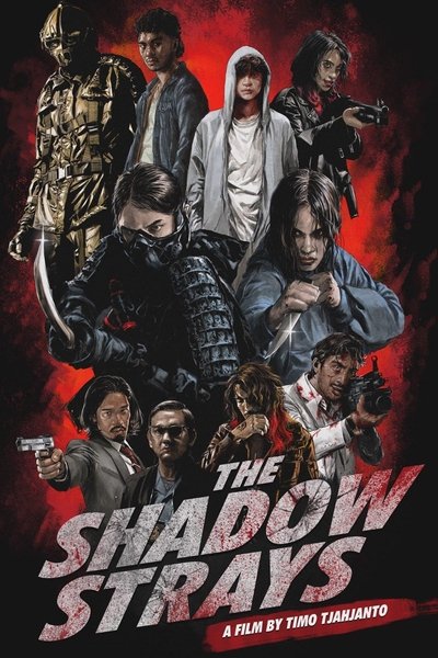 The Shadow Strays (2024) WEB-HDRip [Multi Audio] [Hindi ORG DD 5.1 – Indonesian – English] 1080p | 720p | HEVC | 480p [x264|x265] Esubs