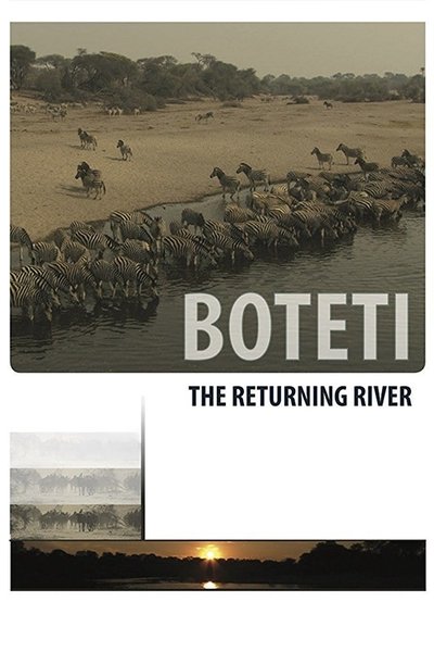 Poster for the movie Boteti: The Returning River