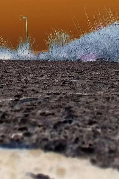 Poster do Filme -Pursuit.UPC.: Stessa Moneta