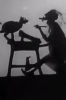 Poster do Filme Noah Put The Cat Out