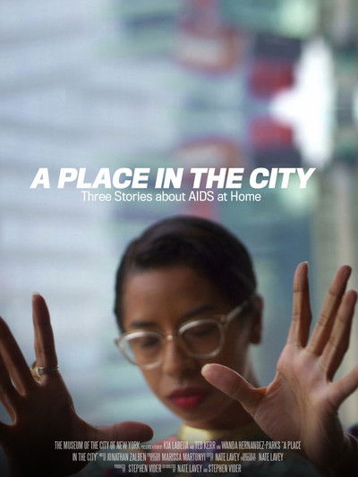 Poster do Filme A Place in the City: Three Stories About AIDS at Home