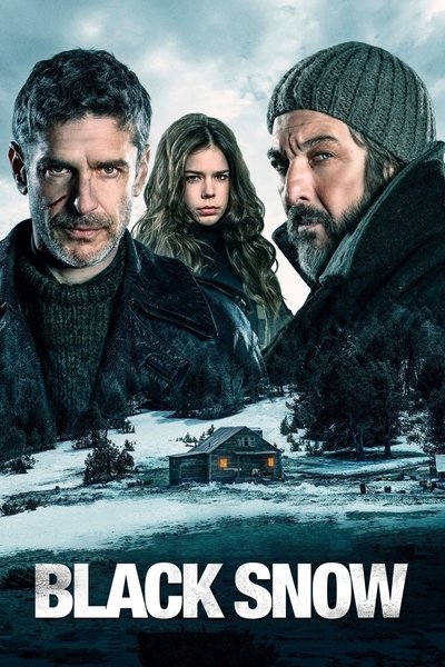 Poster for the movie Black Snow