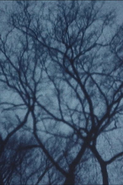 Poster do Filme The Elms