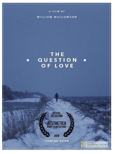 Poster for the movie The Question of Love