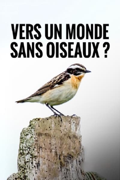 poster Vers un Monde Sans Oiseaux ?