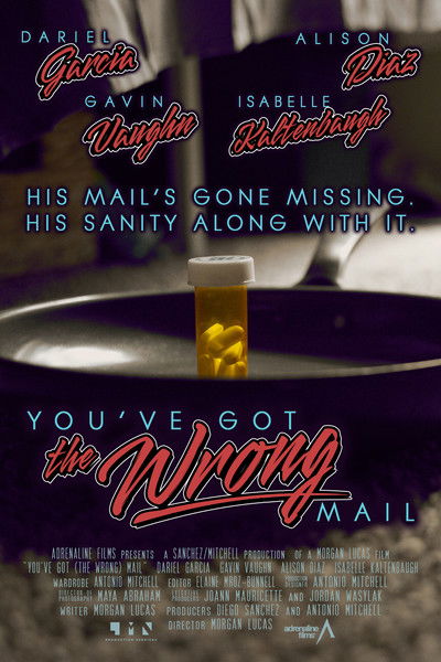 Poster do Filme You've Got (the Wrong) Mail