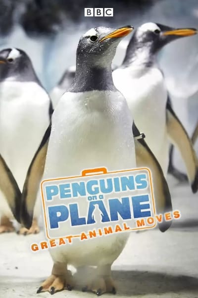 Penguins on a Plane: Great Animal Moves TV Show Poster