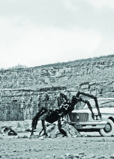 Poster do Filme Tant que s'illuminera l'animal stratifié