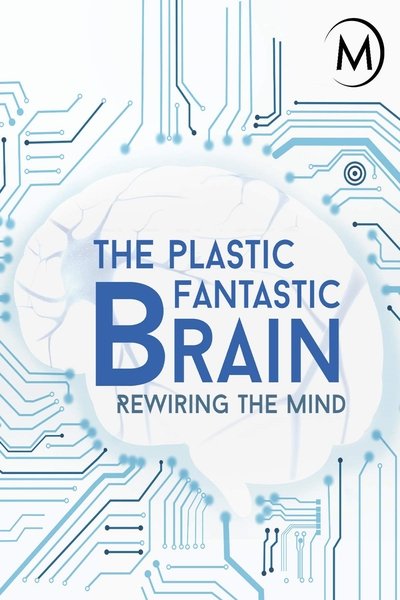 poster for Plastic Fantastic Brain