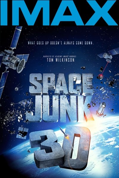 Poster for the movie Space Junk 3D