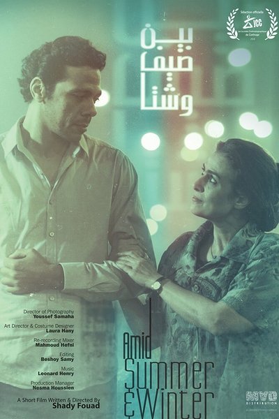 movie poster for Amid Summer & Winter