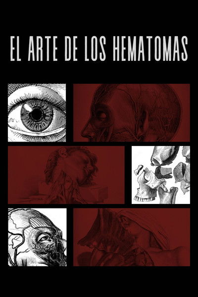 Poster do Filme El Arte De Los Hematomas