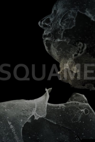 Poster do Filme Squame