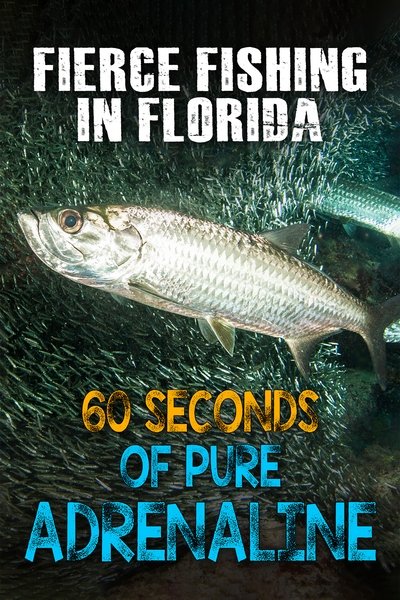 Poster do Filme Fierce Fishing in Florida: 60 Seconds of Pure Adrenaline