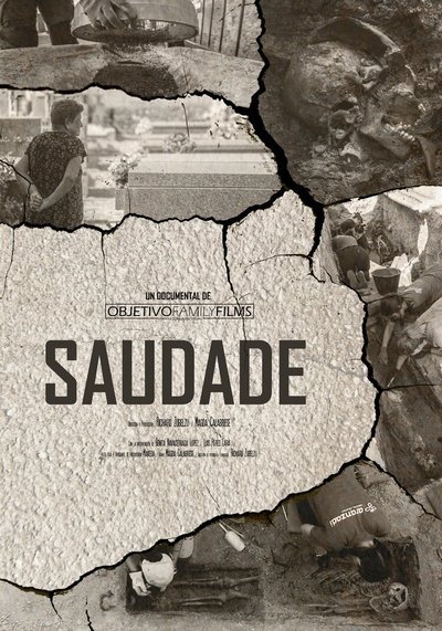 Poster do Filme Saudade