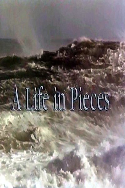 poster for A Life In Pieces