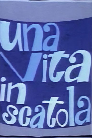 Poster do Filme Una vita in scatola