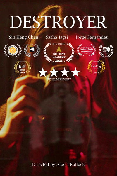 Poster do Filme Destroyer