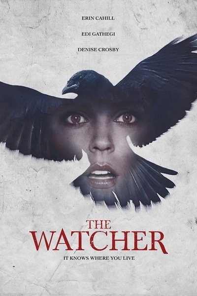 Watch!The Watcher Movie Online