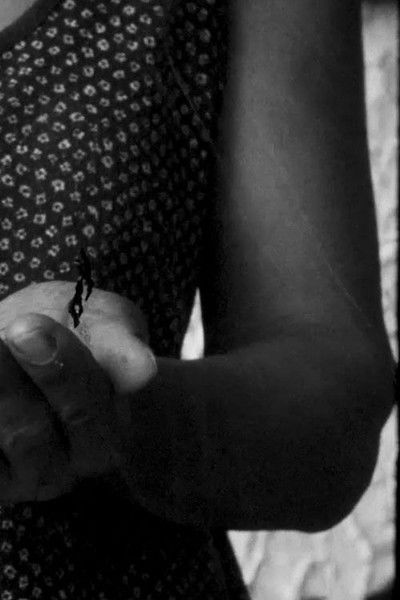 Poster do Filme La memoria de las frutas (Diáspora)