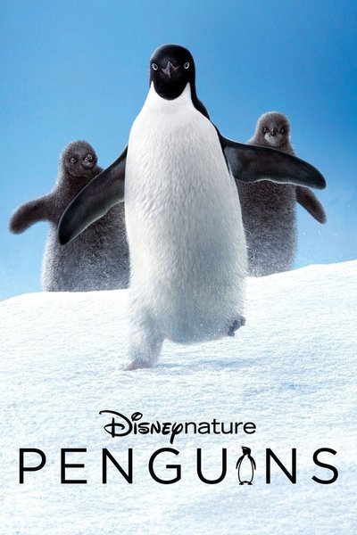 Poster for the movie Penguins