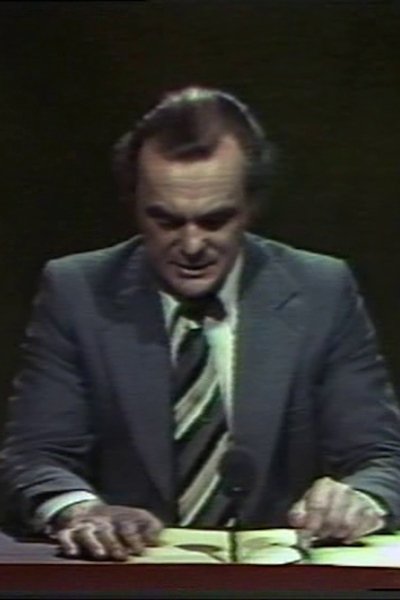 movie poster for The News