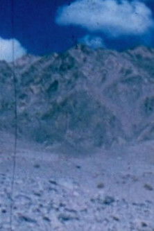 Poster do Filme Vitaal Filmen