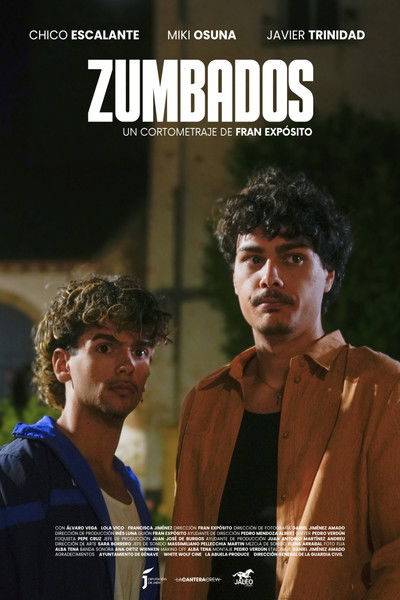 Poster do Filme Zumbados