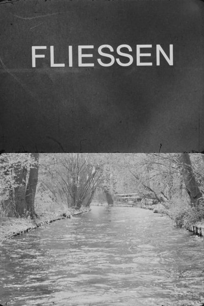 Poster do Filme Fließen