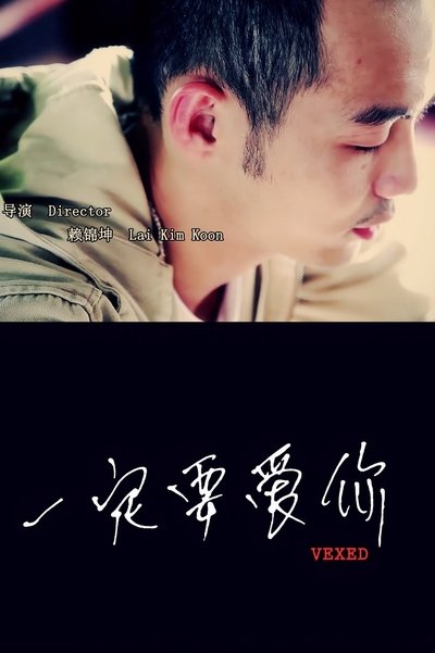 Poster do Filme 一定要爱你