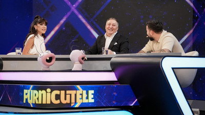 Furnicuțele
