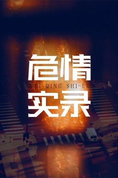 poster for 危情实录