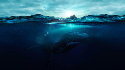 Fathom (2021) Watch Online Free | ඔන්ලයින් බලන්න