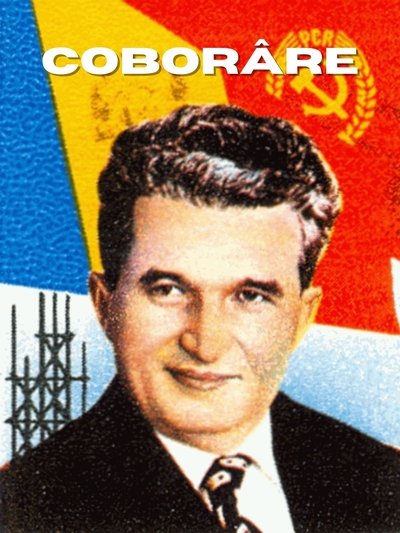 movie poster for COBORÂRE (Descent)