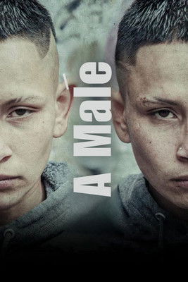 Poster do Filme Un varón